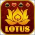 Lotus Teen Patti APK