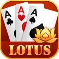Teen Patti Lotus